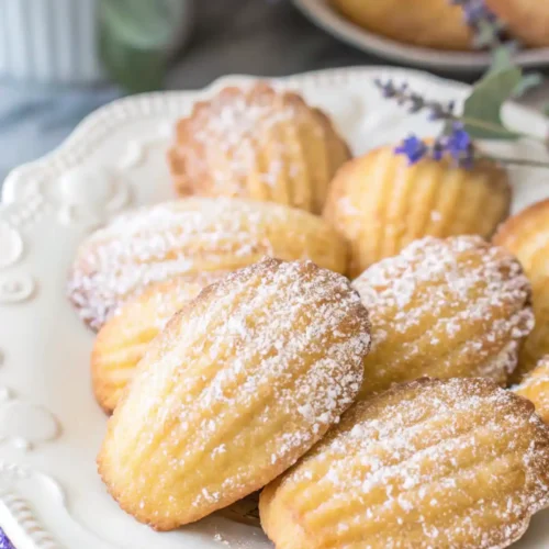 Golden madeleines dusted with powdered sugar on a white plate with lavender flowers around.