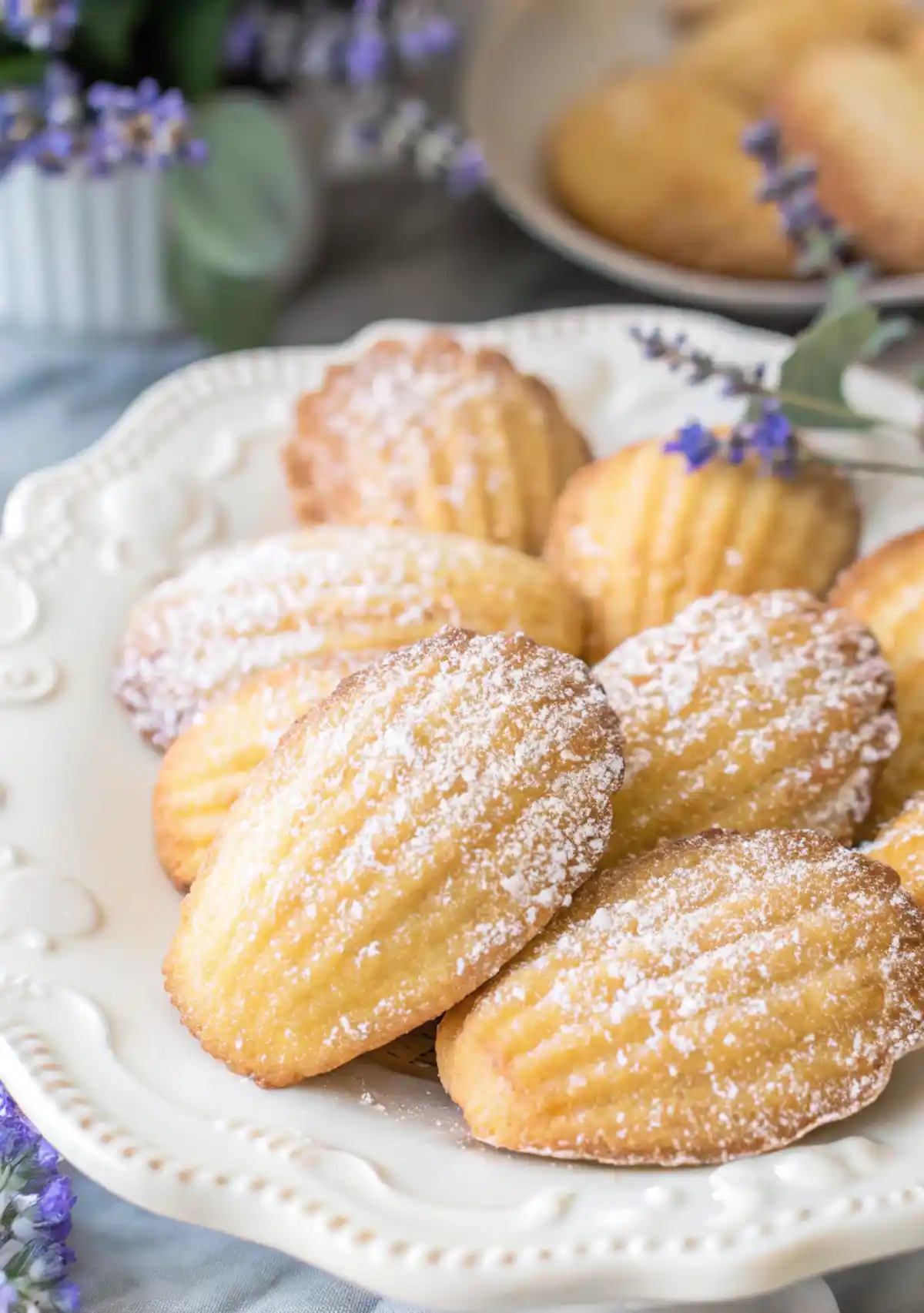 Golden madeleines dusted with powdered sugar on a white plate with lavender flowers around.
