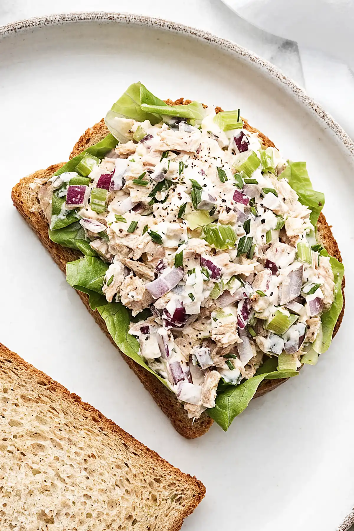 Open faced tuna salad sandwich on whole wheat bread with lettuce, red onion, celery, and fresh herbs on a white plate.