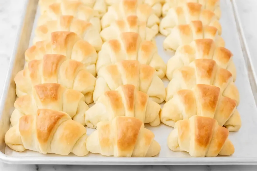 Fresh baked crescent rolls arranged on a baking tray with golden tops and soft fluffy texture