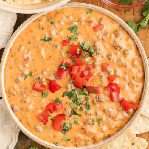 Creamy rotel dip topped with diced tomatoes and cilantro in a bowl, surrounded by tortilla chips on a wooden table.